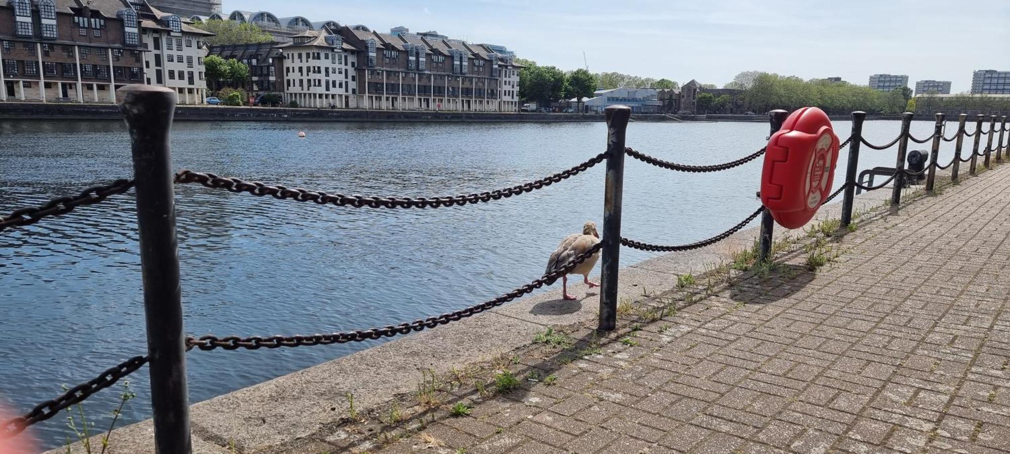 Riverside 1Br With Easy Transport 20Min To City Centre London Exterior foto